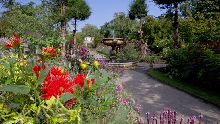 Summer borders filled with dahlias at Nymans